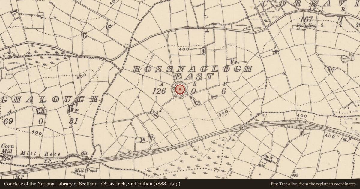 Ordnance Survey six-inch map, 2nd edition (1888–1915) covering the location of Ringfort - rath, Rossnaglogh East, County Monaghan, with a pin at the register's coordinates