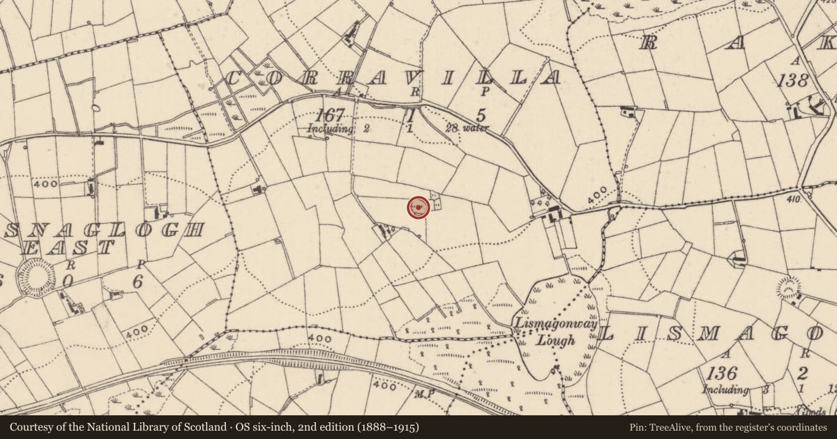 Ordnance Survey six-inch map, 2nd edition (1888–1915) covering the location of Ringfort - rath, Corravilla, County Monaghan, with a pin at the register's coordinates