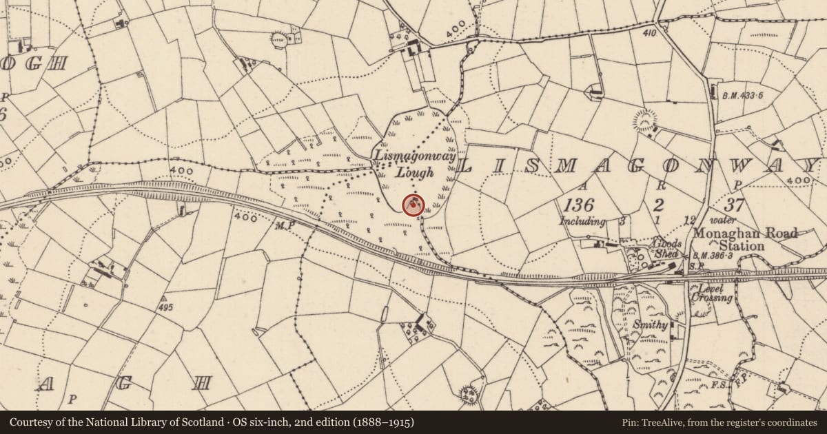 Ordnance Survey six-inch map, 2nd edition (1888–1915) covering the location of Crannog, Rakeeragh (Dartree By., Ematris Par.), County Monaghan, with a pin at the register's coordinates