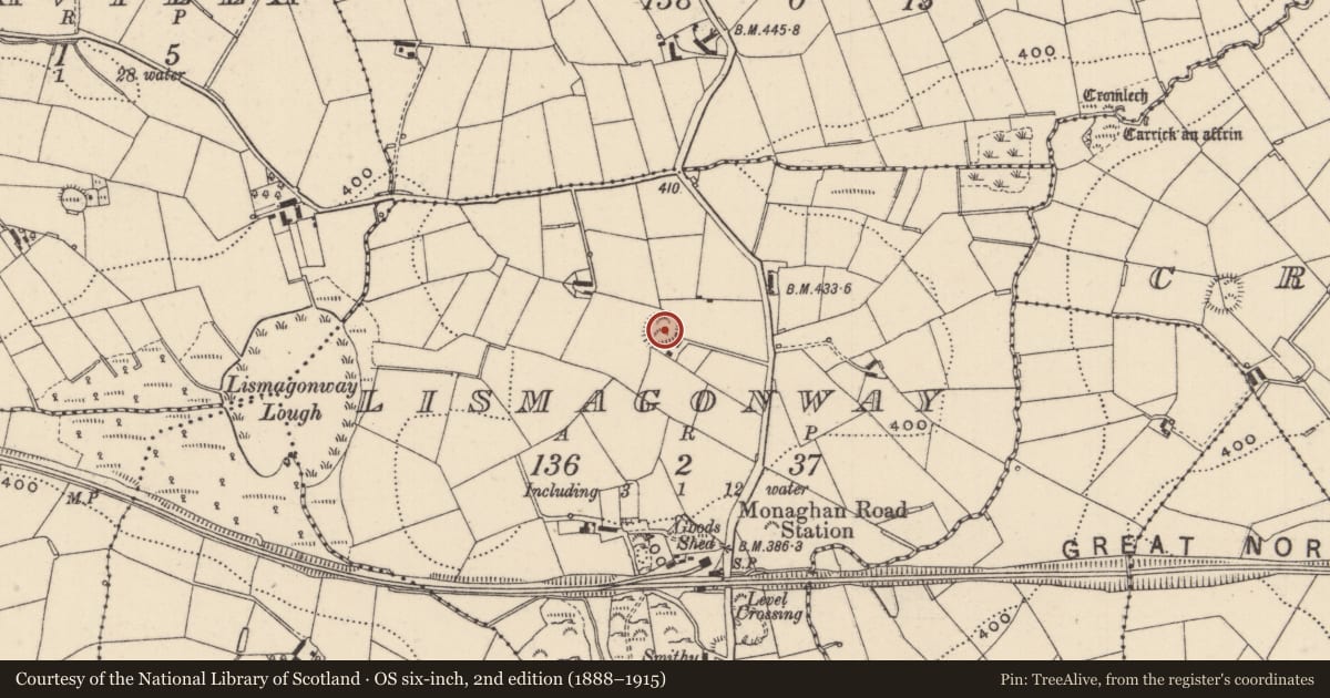 Ordnance Survey six-inch map, 2nd edition (1888–1915) covering the location of Ringfort - rath, Lismagonway, County Monaghan, with a pin at the register's coordinates