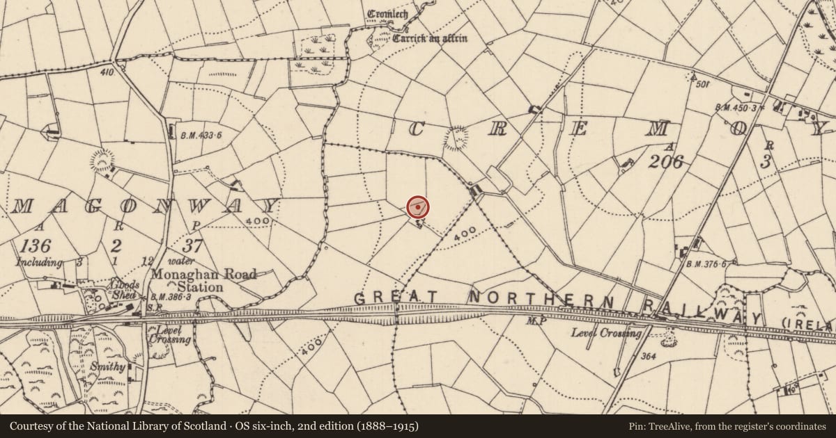 Ordnance Survey six-inch map, 2nd edition (1888–1915) covering the location of Ringfort - rath, Dromore East, County Monaghan, with a pin at the register's coordinates