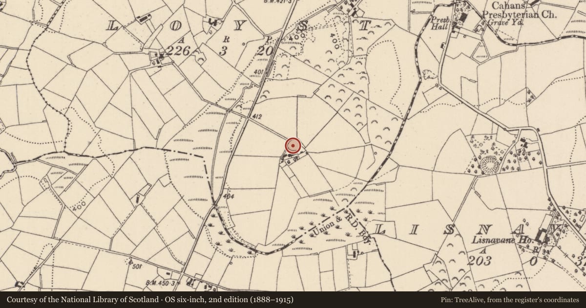 Ordnance Survey six-inch map, 2nd edition (1888–1915) covering the location of Ringfort - rath, Loyst, County Monaghan, with a pin at the register's coordinates