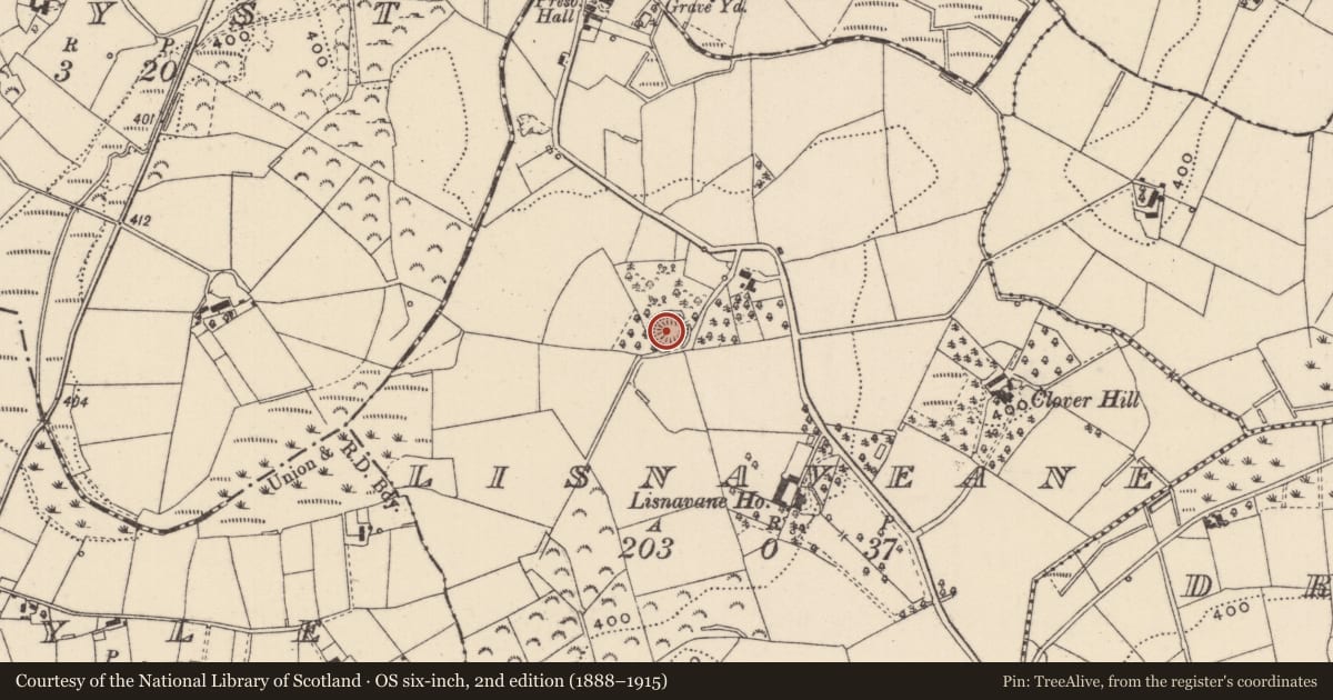 Ordnance Survey six-inch map, 2nd edition (1888–1915) covering the location of Ringfort - rath, Lisnaveane, County Monaghan, with a pin at the register's coordinates