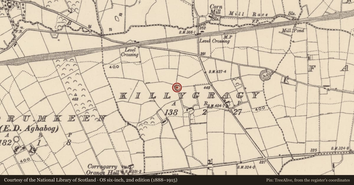 Ordnance Survey six-inch map, 2nd edition (1888–1915) covering the location of Ringfort - rath, Killygragy, County Monaghan, with a pin at the register's coordinates