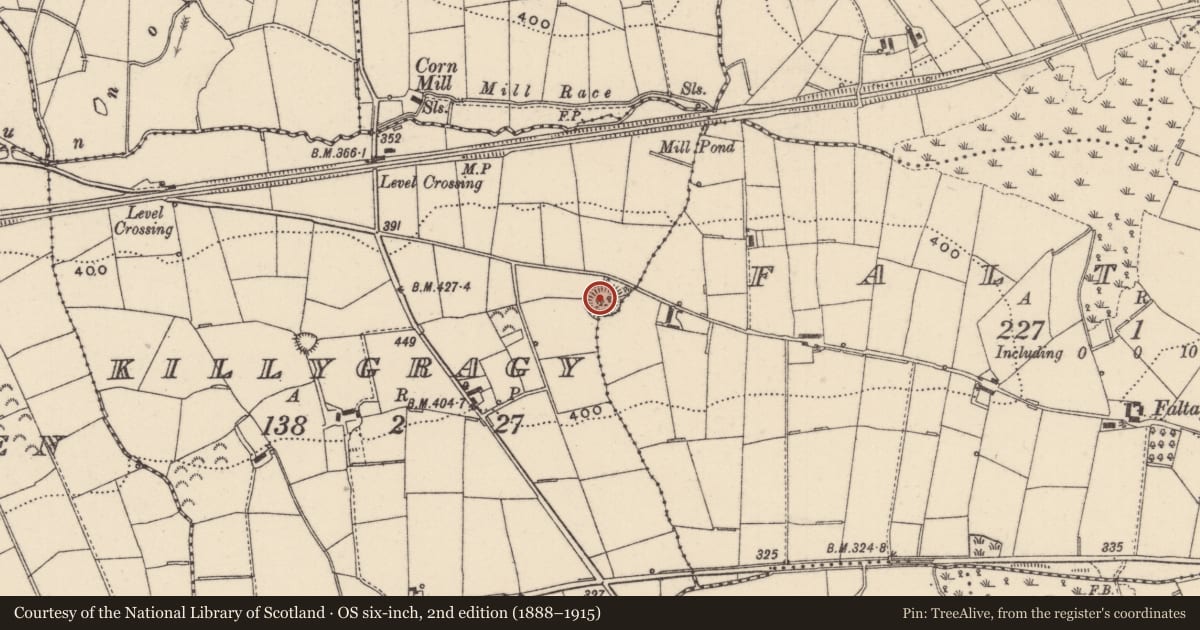Ordnance Survey six-inch map, 2nd edition (1888–1915) covering the location of Ringfort - rath, Killygragy, County Monaghan, with a pin at the register's coordinates
