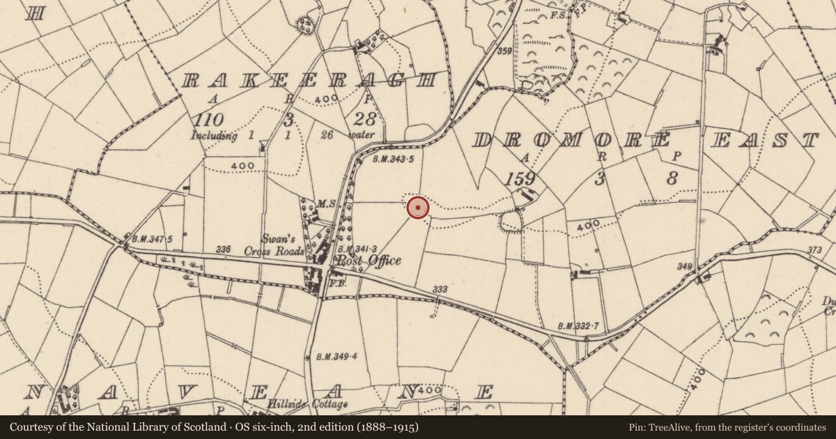 Ordnance Survey six-inch map, 2nd edition (1888–1915) covering the location of Ringfort - rath, Dromore East, County Monaghan, with a pin at the register's coordinates