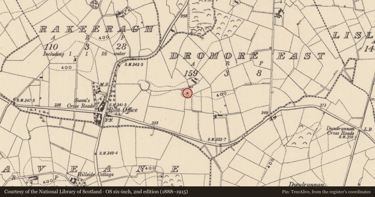 Ordnance Survey six-inch map, 2nd edition (1888–1915) covering the location of Ringfort - rath, Dromore East, County Monaghan, with a pin at the register's coordinates