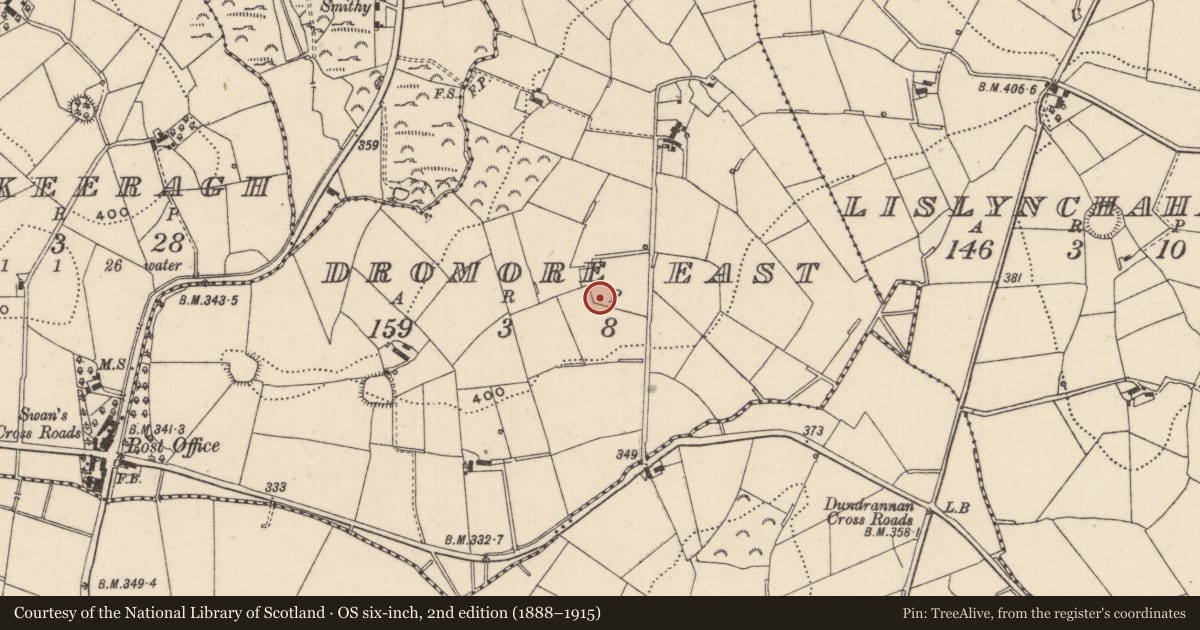 Ordnance Survey six-inch map, 2nd edition (1888–1915) covering the location of Ringfort - rath, Dromore East, County Monaghan, with a pin at the register's coordinates