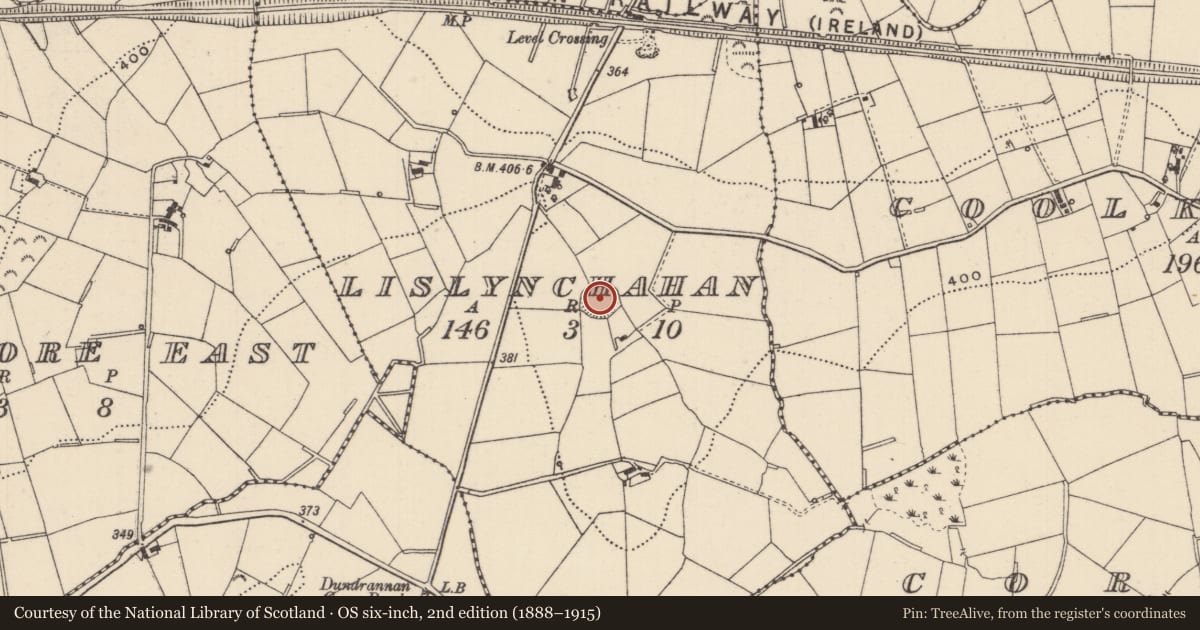 Ordnance Survey six-inch map, 2nd edition (1888–1915) covering the location of Ringfort - rath, Lislynchahan, County Monaghan, with a pin at the register's coordinates