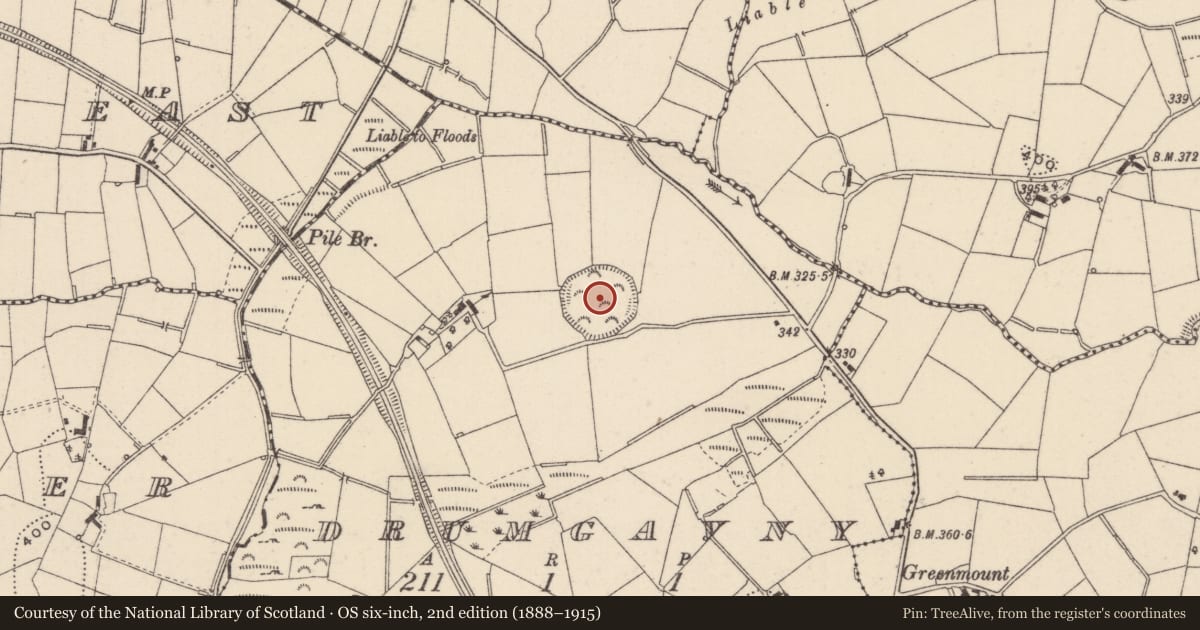 Ordnance Survey six-inch map, 2nd edition (1888–1915) covering the location of Hilltop enclosure, Drumgavny, County Monaghan, with a pin at the register's coordinates
