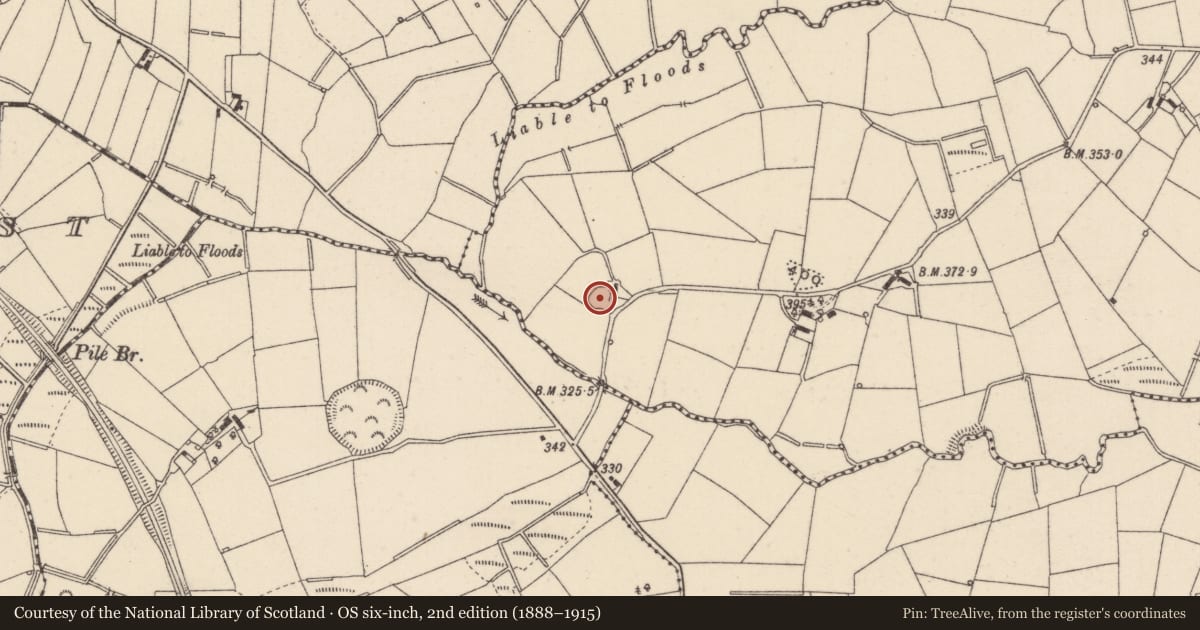 Ordnance Survey six-inch map, 2nd edition (1888–1915) covering the location of Ringfort - rath, Caddagh, County Monaghan, with a pin at the register's coordinates