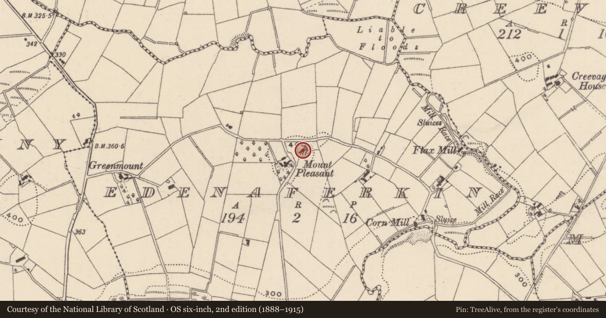 Ordnance Survey six-inch map, 2nd edition (1888–1915) covering the location of Ringfort - rath, Edenaferkin, County Monaghan, with a pin at the register's coordinates