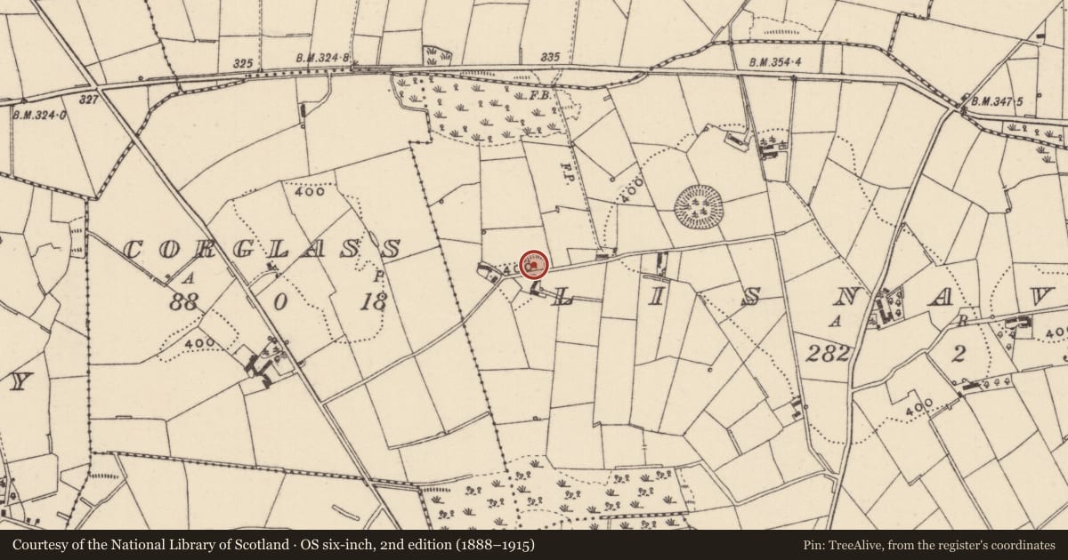 Ordnance Survey six-inch map, 2nd edition (1888–1915) covering the location of Ringfort - rath, Lisnaveane, County Monaghan, with a pin at the register's coordinates