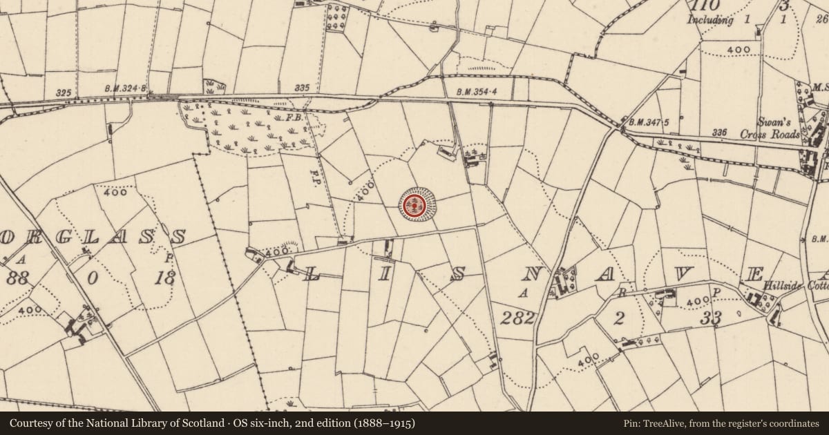 Ordnance Survey six-inch map, 2nd edition (1888–1915) covering the location of Ringfort - rath, Lisnaveane, County Monaghan, with a pin at the register's coordinates