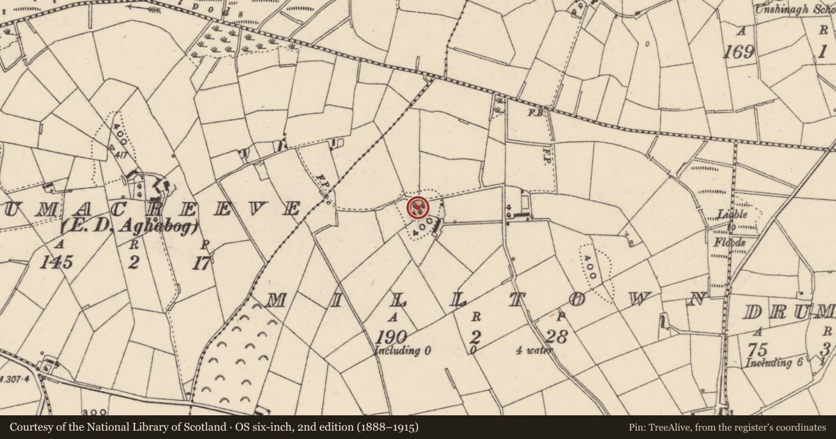Ordnance Survey six-inch map, 2nd edition (1888–1915) covering the location of Ringfort - rath, Milltown, County Monaghan, with a pin at the register's coordinates