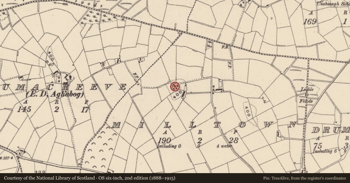 Ordnance Survey six-inch map, 2nd edition (1888–1915) covering the location of Hut site, Milltown, County Monaghan, with a pin at the register's coordinates