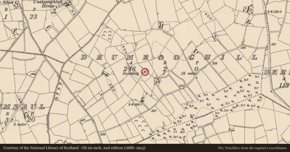 Ordnance Survey six-inch map, 2nd edition (1888–1915) covering the location of Ringfort - rath, Drumrooghill, County Monaghan, with a pin at the register's coordinates