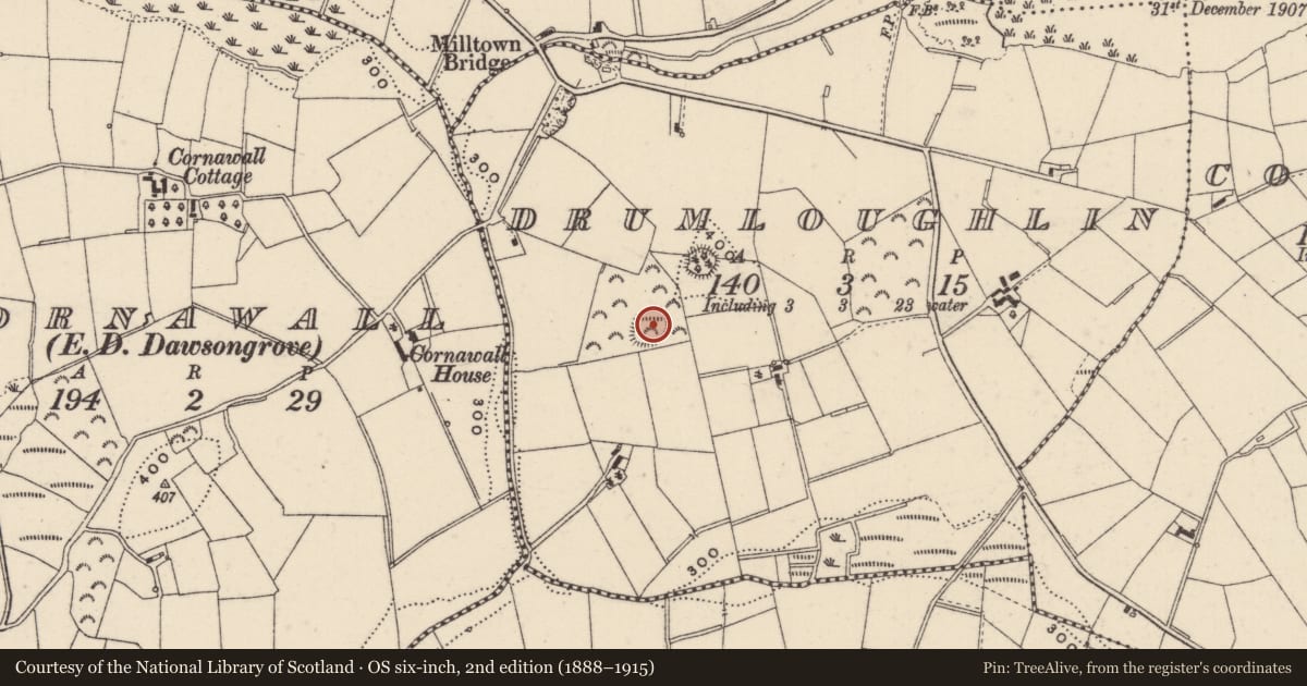 Ordnance Survey six-inch map, 2nd edition (1888–1915) covering the location of Ringfort - rath, Drumloughlin, County Monaghan, with a pin at the register's coordinates