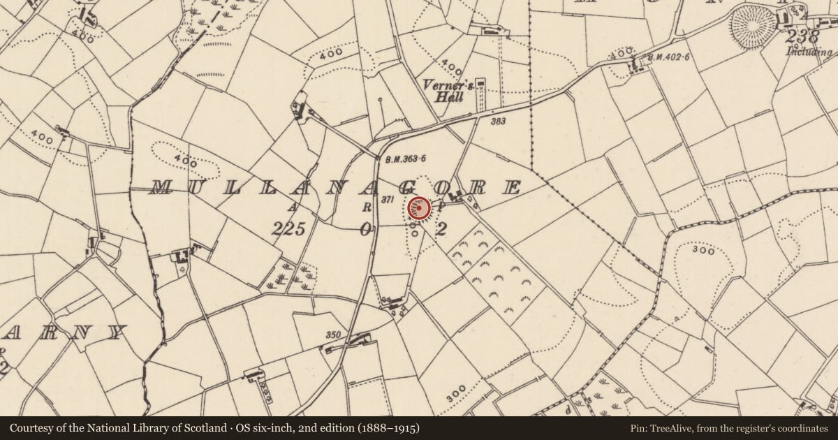 Ordnance Survey six-inch map, 2nd edition (1888–1915) covering the location of Ringfort - rath, Mullanagore, County Monaghan, with a pin at the register's coordinates
