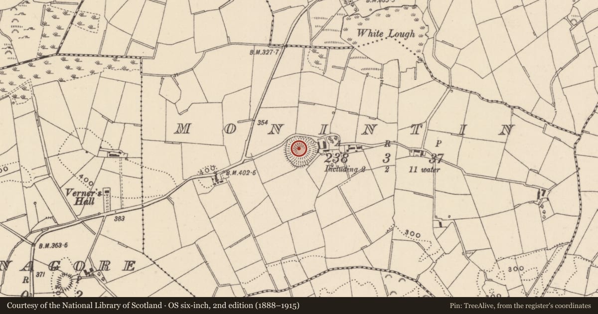 Ordnance Survey six-inch map, 2nd edition (1888–1915) covering the location of Ringfort - rath, Monintin, County Monaghan, with a pin at the register's coordinates