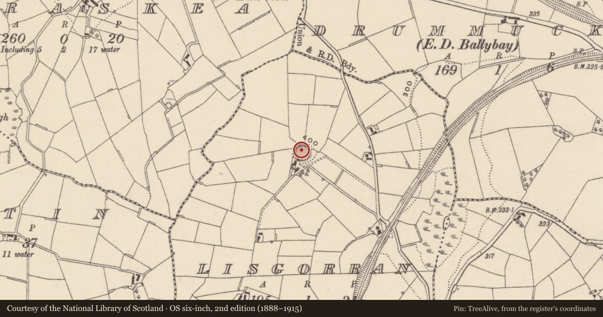 Ordnance Survey six-inch map, 2nd edition (1888–1915) covering the location of Ringfort - rath, Lisgorran, County Monaghan, with a pin at the register's coordinates