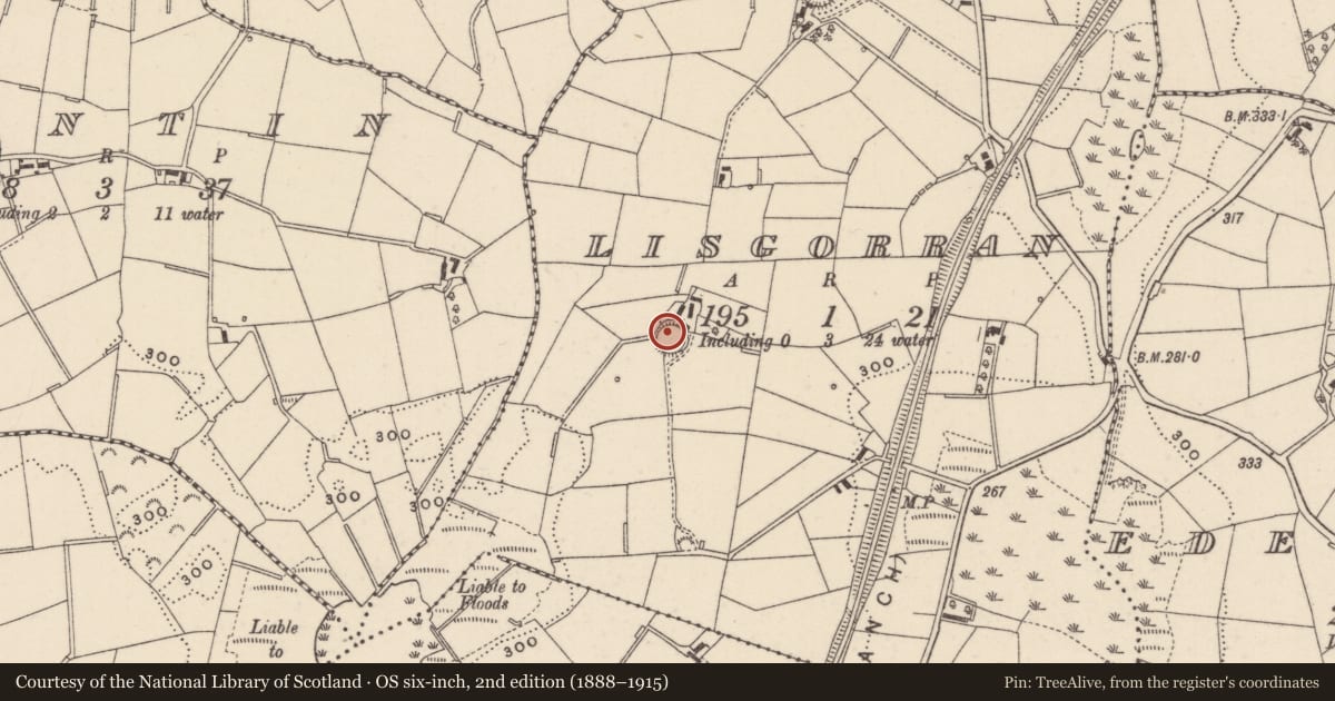 Ordnance Survey six-inch map, 2nd edition (1888–1915) covering the location of Ringfort - rath, Lisgorran, County Monaghan, with a pin at the register's coordinates