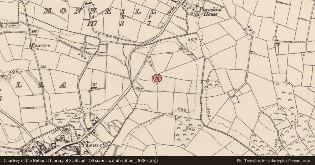 Ordnance Survey six-inch map, 2nd edition (1888–1915) covering the location of Ringfort - rath, Corkeeran (Dartree By., Ematris Par.), County Monaghan, with a pin at the register's coordinates