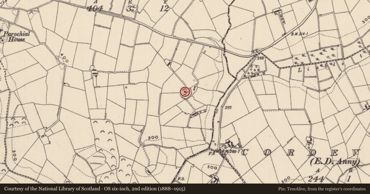 Ordnance Survey six-inch map, 2nd edition (1888–1915) covering the location of Ringfort - rath, Maghernaharny, County Monaghan, with a pin at the register's coordinates