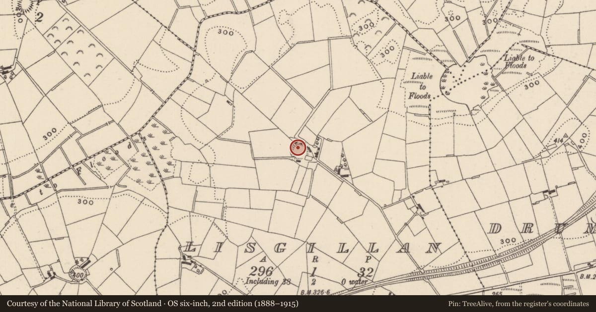 Ordnance Survey six-inch map, 2nd edition (1888–1915) covering the location of Ringfort - rath, Lisgillan, County Monaghan, with a pin at the register's coordinates