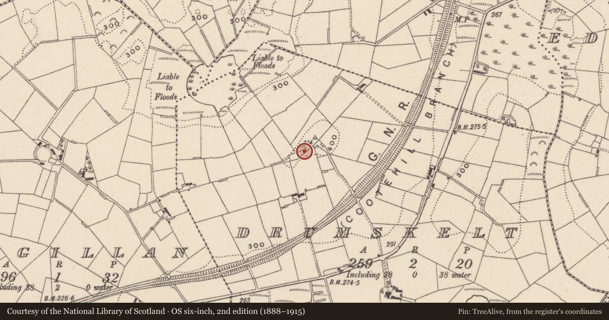 Ordnance Survey six-inch map, 2nd edition (1888–1915) covering the location of Ringfort - rath, Drumskelt, County Monaghan, with a pin at the register's coordinates