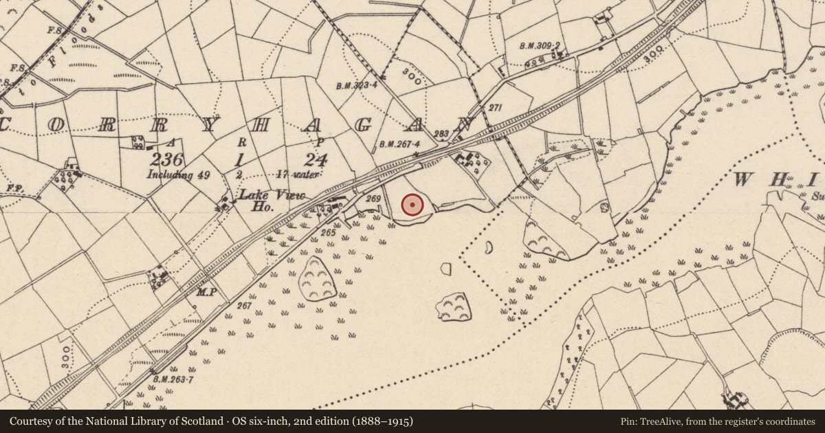 Ordnance Survey six-inch map, 2nd edition (1888–1915) covering the location of Enclosure - large enclosure, Corryhagan, County Monaghan, with a pin at the register's coordinates