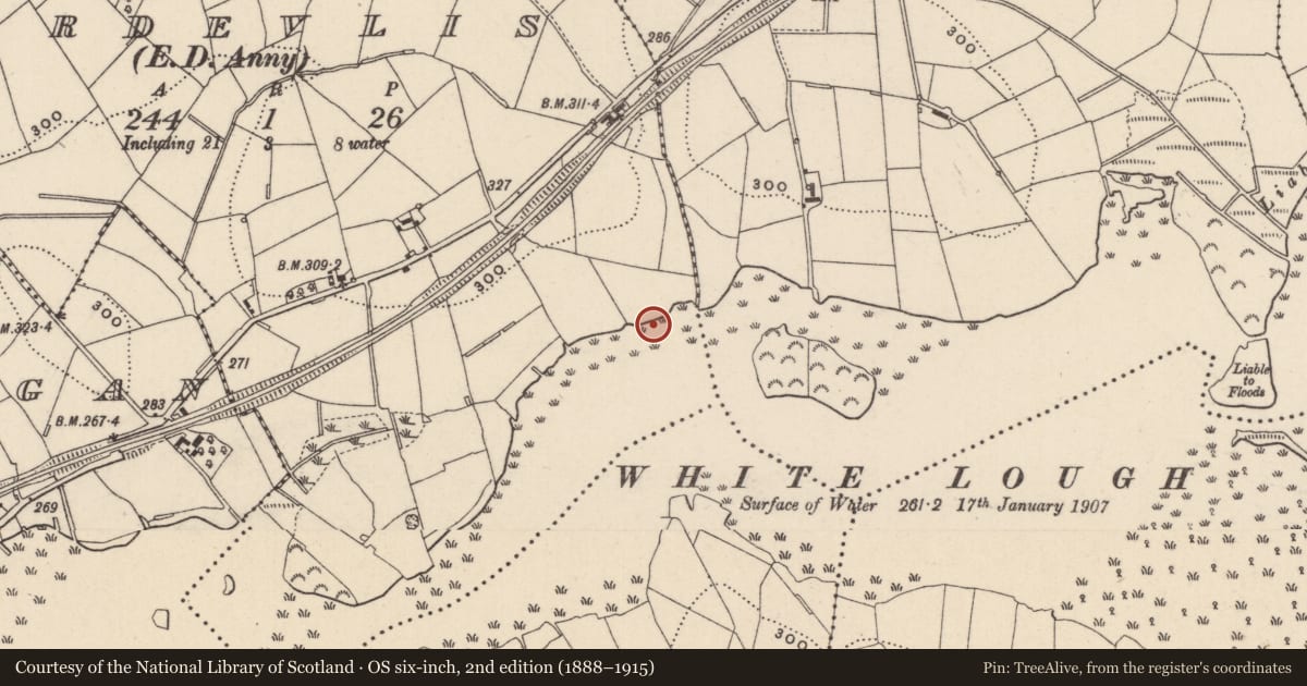 Ordnance Survey six-inch map, 2nd edition (1888–1915) covering the location of Crannog, Cordevlis (Cremorne By., Aghamullen Par.), County Monaghan, with a pin at the register's coordinates