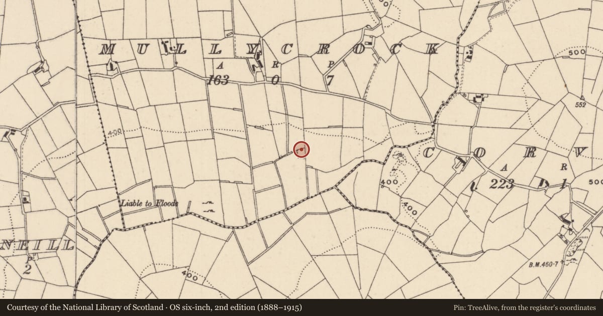 Ordnance Survey six-inch map, 2nd edition (1888–1915) covering the location of Earthwork, Mullycrock, County Monaghan, with a pin at the register's coordinates