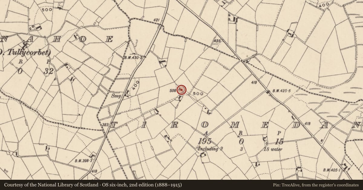 Ordnance Survey six-inch map, 2nd edition (1888–1915) covering the location of Ringfort - rath, Tiromedan, County Monaghan, with a pin at the register's coordinates