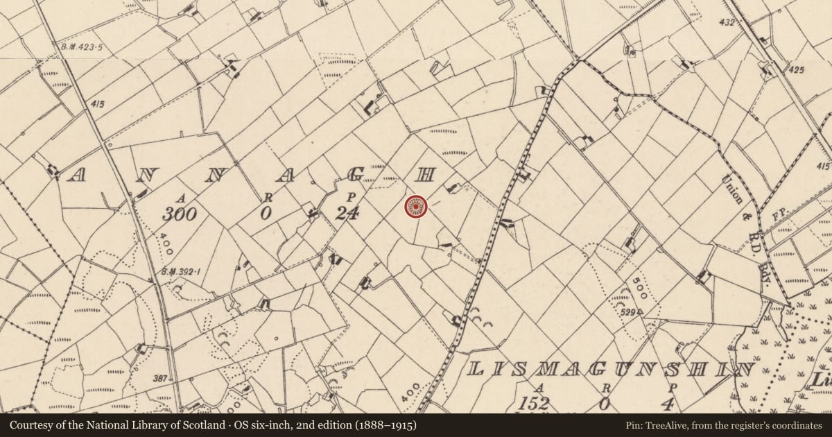 Ordnance Survey six-inch map, 2nd edition (1888–1915) covering the location of Hut site, Annagh, County Monaghan, with a pin at the register's coordinates