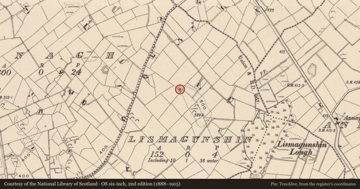 Ordnance Survey six-inch map, 2nd edition (1888–1915) covering the location of Ringfort - rath, Lismagunshin, County Monaghan, with a pin at the register's coordinates