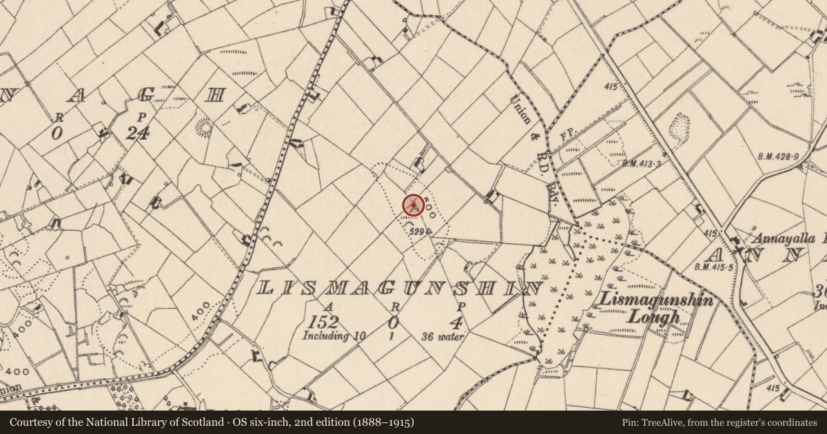 Ordnance Survey six-inch map, 2nd edition (1888–1915) covering the location of Ringfort - rath, Lismagunshin, County Monaghan, with a pin at the register's coordinates