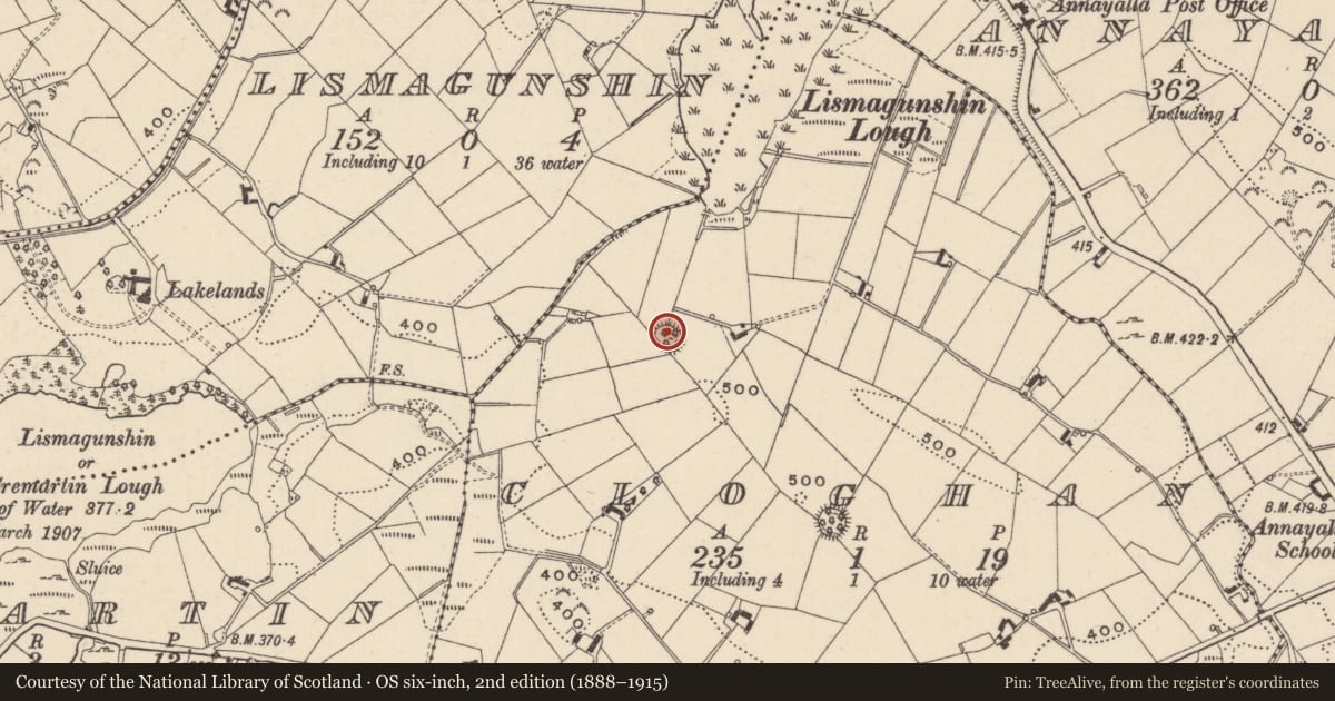 Ordnance Survey six-inch map, 2nd edition (1888–1915) covering the location of Ringfort - rath, Cloghan, County Monaghan, with a pin at the register's coordinates