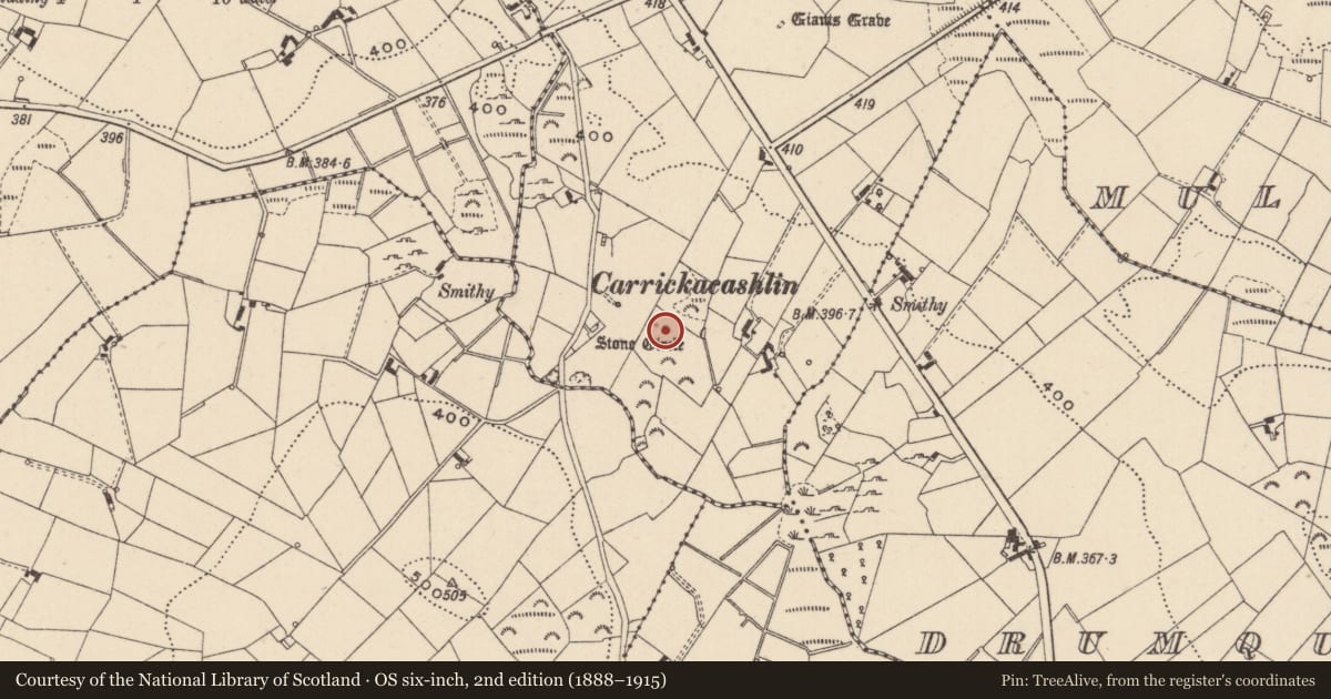 Ordnance Survey six-inch map, 2nd edition (1888–1915) covering the location of Kiln - lime, Annayalla, County Monaghan, with a pin at the register's coordinates