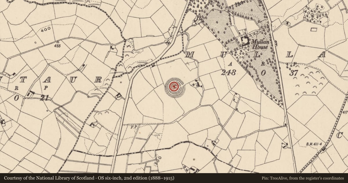 Ordnance Survey six-inch map, 2nd edition (1888–1915) covering the location of Ringfort - rath, Mullan, County Monaghan, with a pin at the register's coordinates