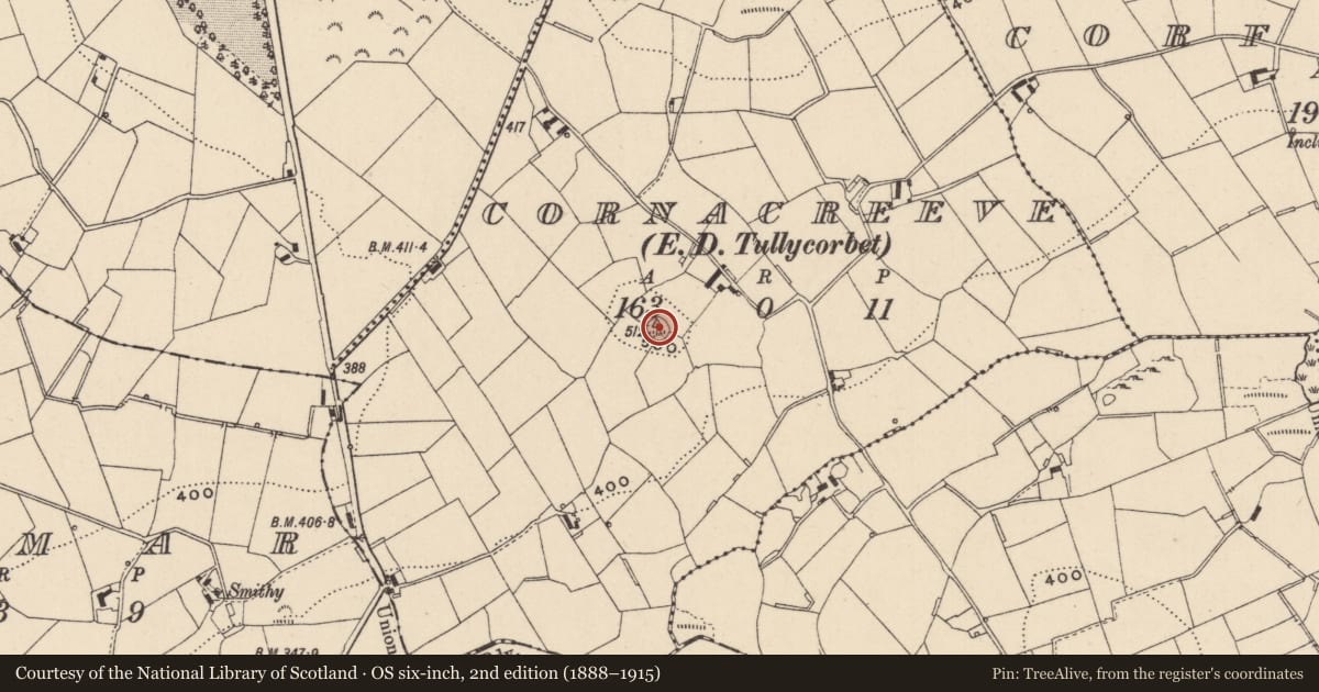 Ordnance Survey six-inch map, 2nd edition (1888–1915) covering the location of Ringfort - rath, Cornacreeve (Monaghan By., Tullycorbet Par.), County Monaghan, with a pin at the register's coordinates