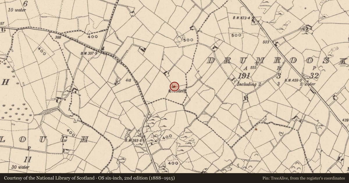 Ordnance Survey six-inch map, 2nd edition (1888–1915) covering the location of Megalithic tomb - portal tomb, Lennan, County Monaghan, with a pin at the register's coordinates