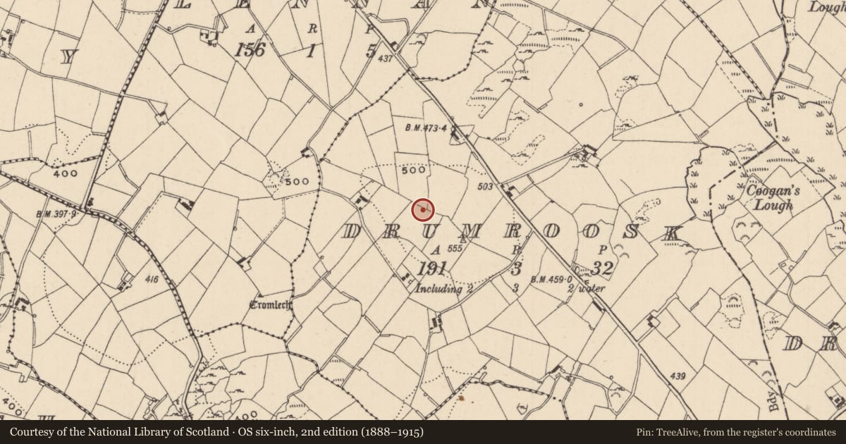 Ordnance Survey six-inch map, 2nd edition (1888–1915) covering the location of Ringfort - rath, Drumroosk, County Monaghan, with a pin at the register's coordinates