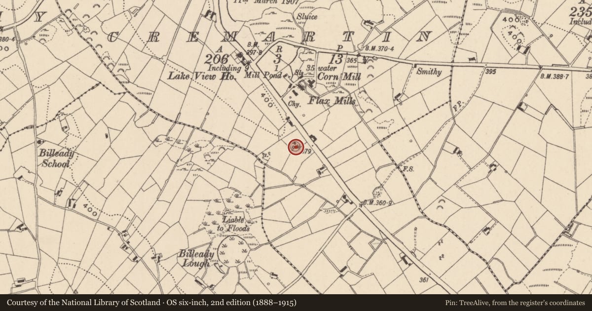 Ordnance Survey six-inch map, 2nd edition (1888–1915) covering the location of Ringfort - rath, Cremartin, County Monaghan, with a pin at the register's coordinates