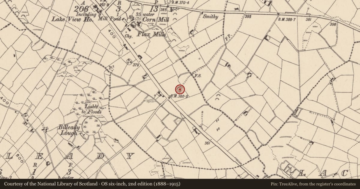 Ordnance Survey six-inch map, 2nd edition (1888–1915) covering the location of Ringfort - rath, Cremartin, County Monaghan, with a pin at the register's coordinates