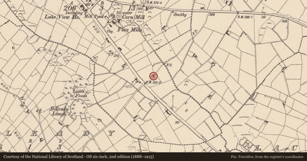 Ordnance Survey six-inch map, 2nd edition (1888–1915) covering the location of Hut site, Cremartin, County Monaghan, with a pin at the register's coordinates