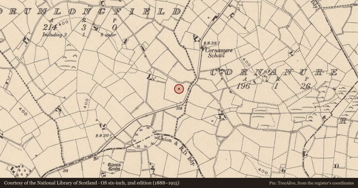 Ordnance Survey six-inch map, 2nd edition (1888–1915) covering the location of Ringfort - rath, Drumlongfield, County Monaghan, with a pin at the register's coordinates