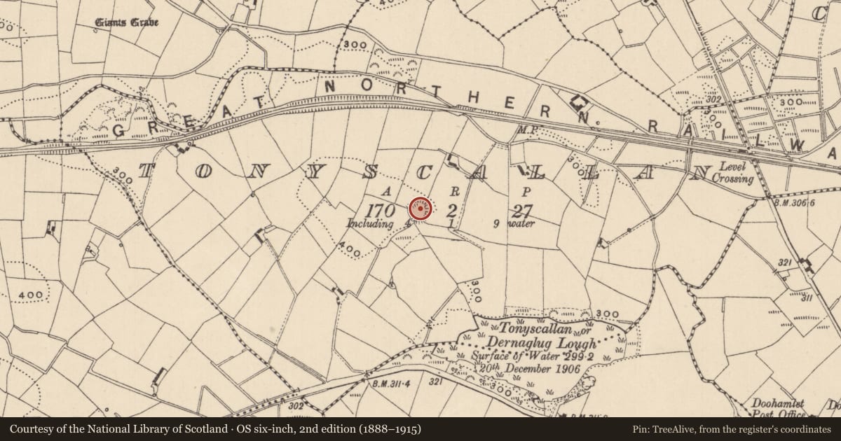 Ordnance Survey six-inch map, 2nd edition (1888–1915) covering the location of Ringfort - rath, Tonyscallan, County Monaghan, with a pin at the register's coordinates