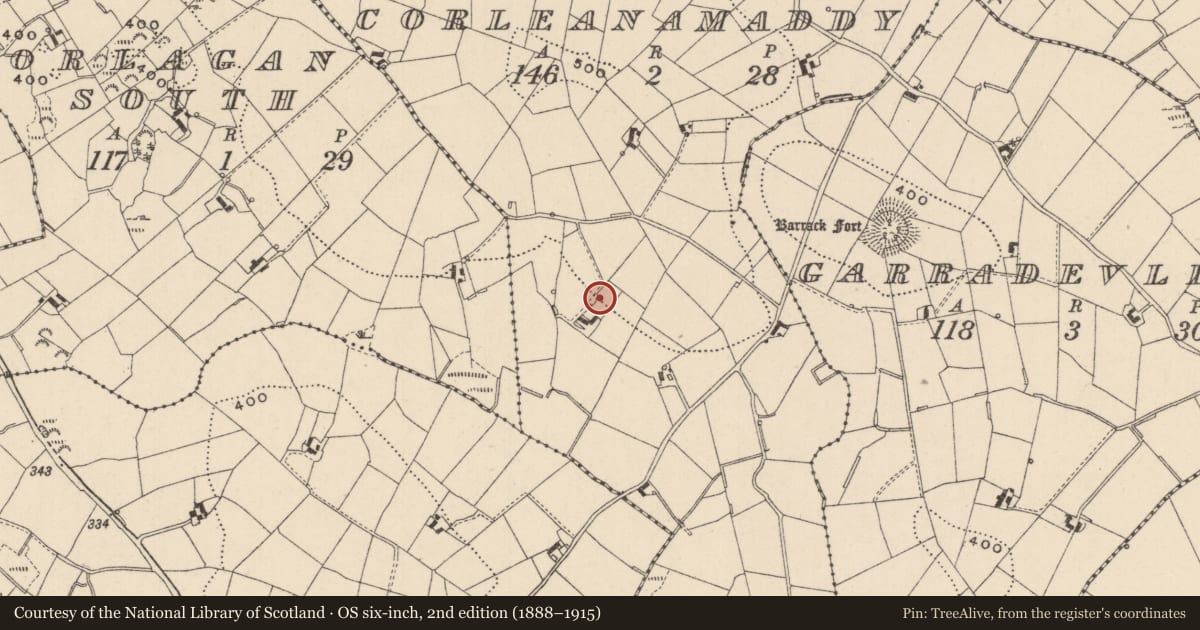 Ordnance Survey six-inch map, 2nd edition (1888–1915) covering the location of Megalithic tomb - portal tomb, Corleanamaddy, County Monaghan, with a pin at the register's coordinates