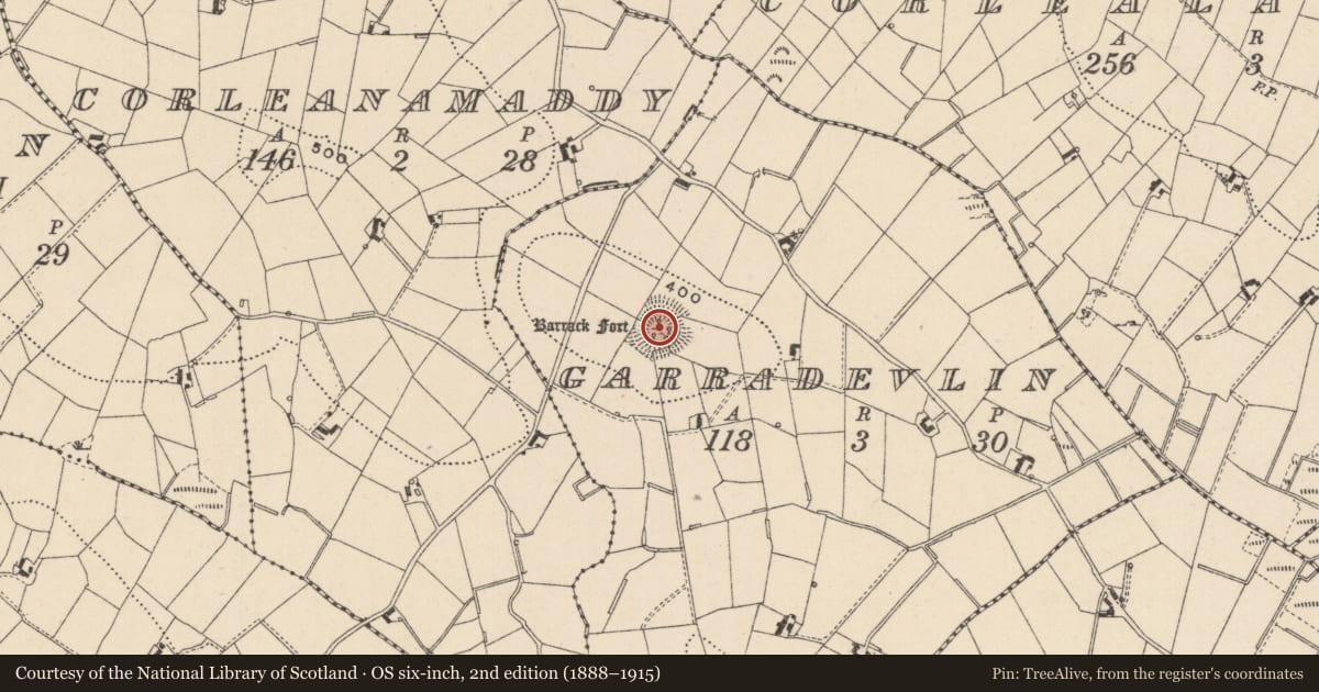 Ordnance Survey six-inch map, 2nd edition (1888–1915) covering the location of Ringfort - rath, Garradevlin, County Monaghan, with a pin at the register's coordinates